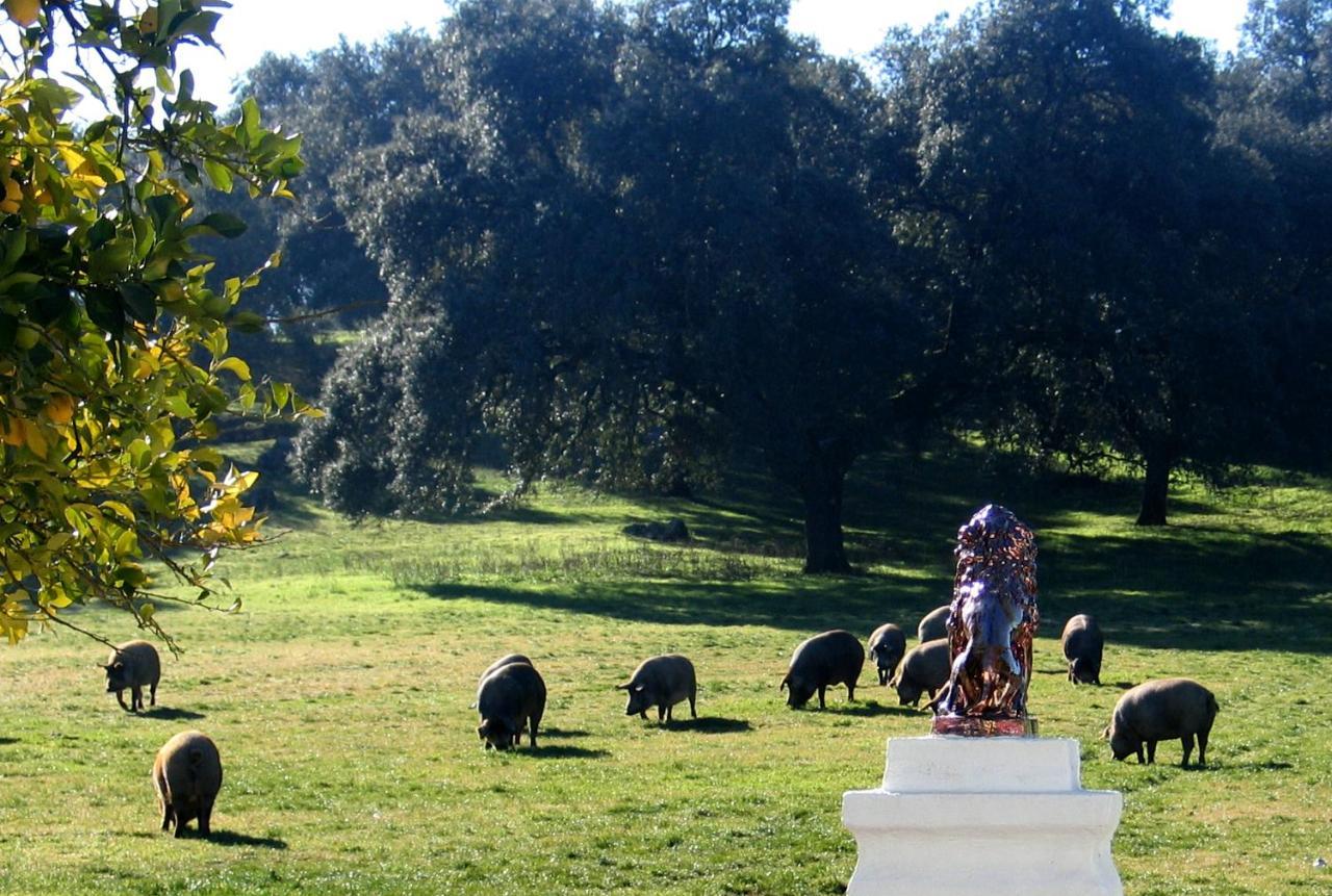 Penzion Cortijo Huerta Galindo Alanís Exteriér fotografie