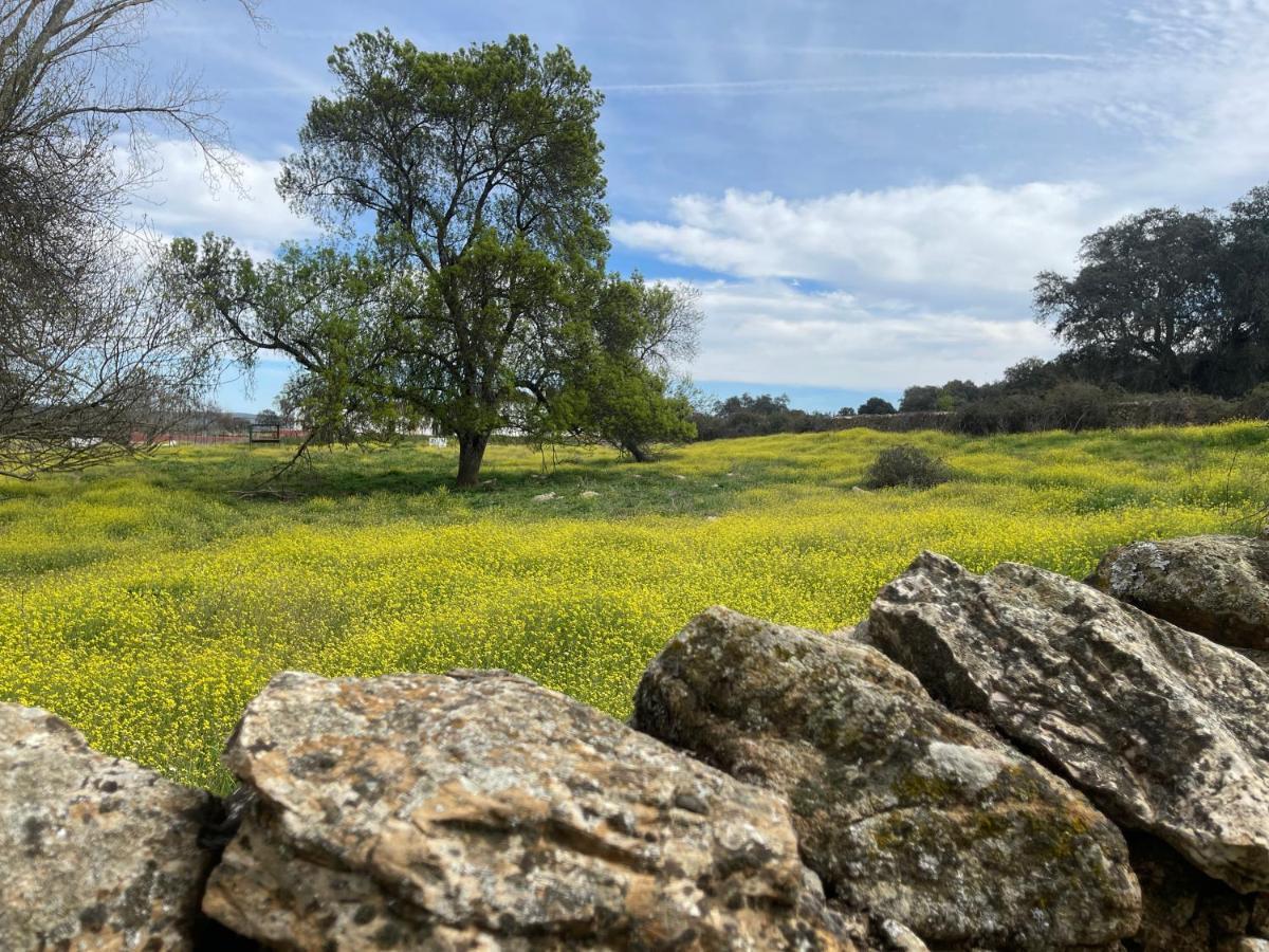 Penzion Cortijo Huerta Galindo Alanís Exteriér fotografie